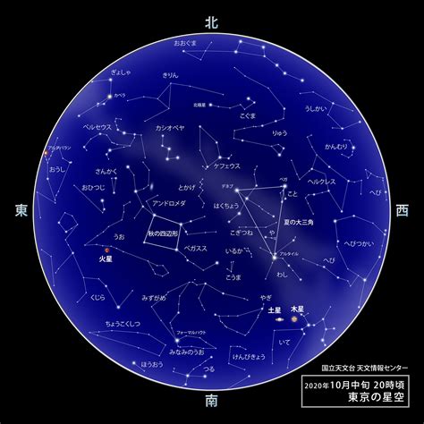 11月22號星座|11月22日是什么星座